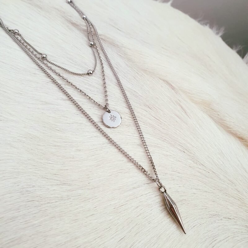 INAA Collection Colliers